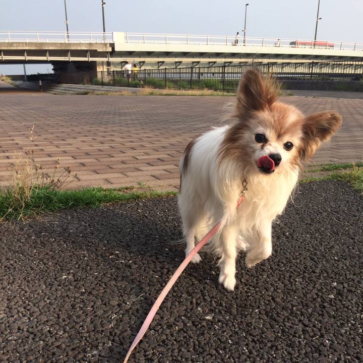 Bba57e6e 8324 47ec 8d12 133fba80e038 1538351414472