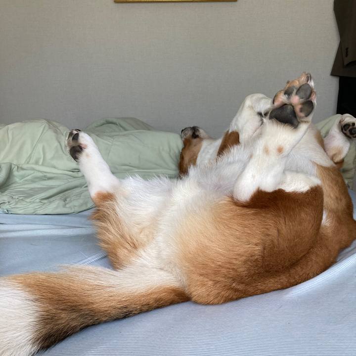 Bba59cd3 5ab4 4664 b30a e113dbce7d45 1691716430581