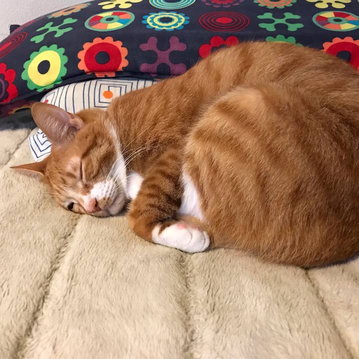 Bba5b8a5 627a 4987 b8c0 cd5f8497d9ae 1539761239426