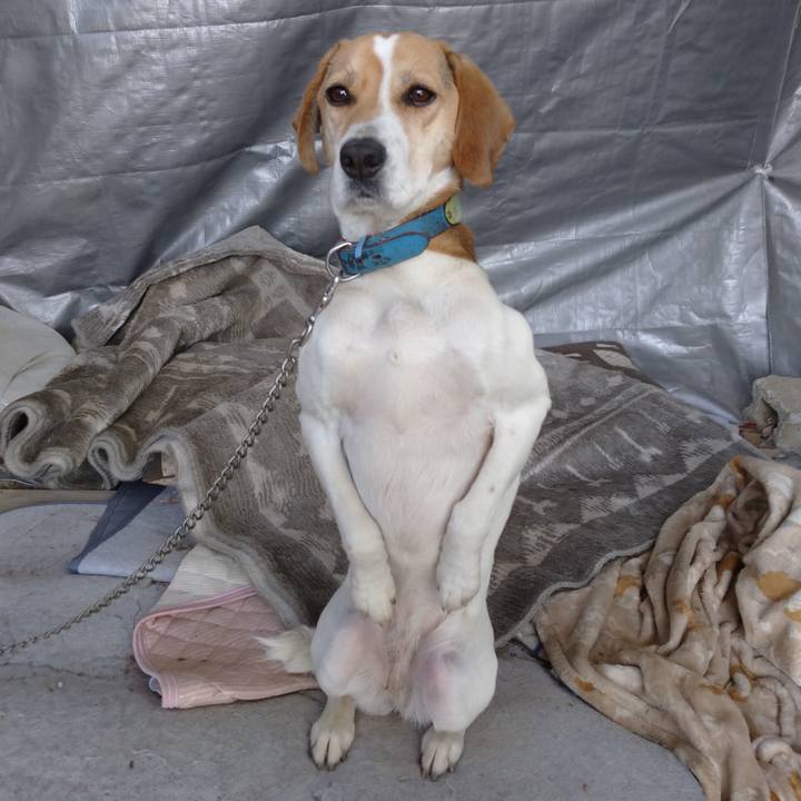 Bba5d064 8c36 42fb bc02 83639ce34952 1612857714631