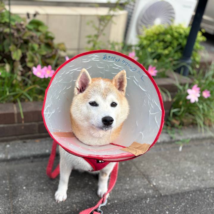 Bba5eafa 14cf 4835 9061 b938fb52ed0b 1757895246548