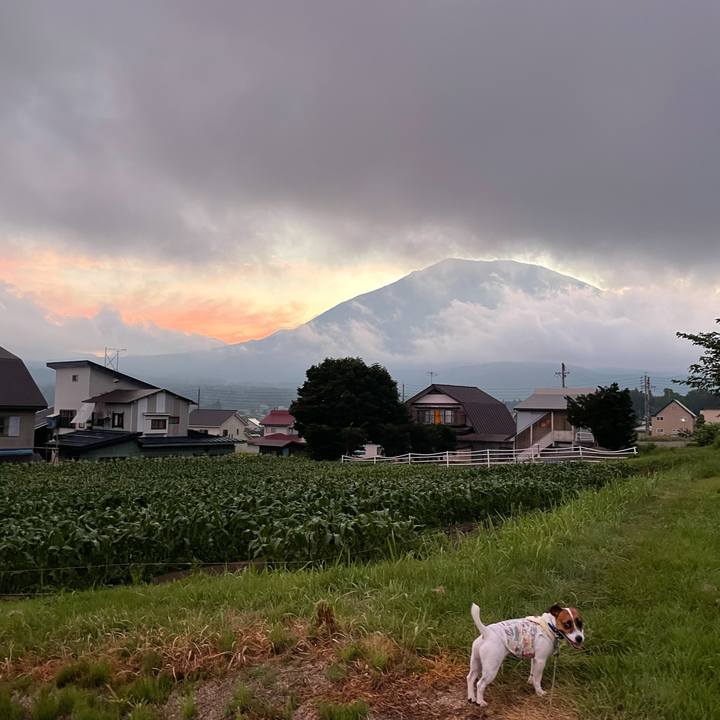 Bba5f445 c531 4b6f b12a 093d35c69ec4 1627299073322