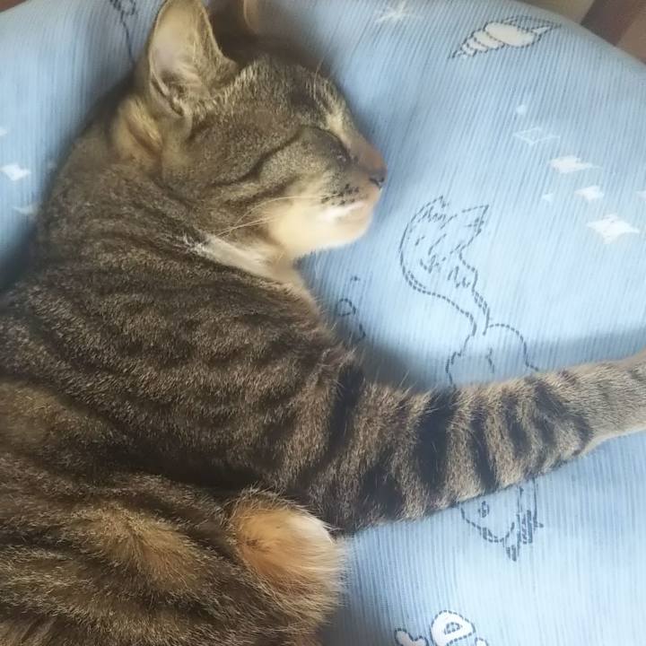 Bba606ae d320 4e4c abaa 5ffe843af7b8 1612799805724