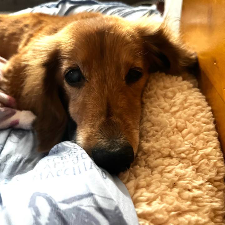 Bba64bf6 a18d 40d8 abf4 76dac5d5708e 1654949955331