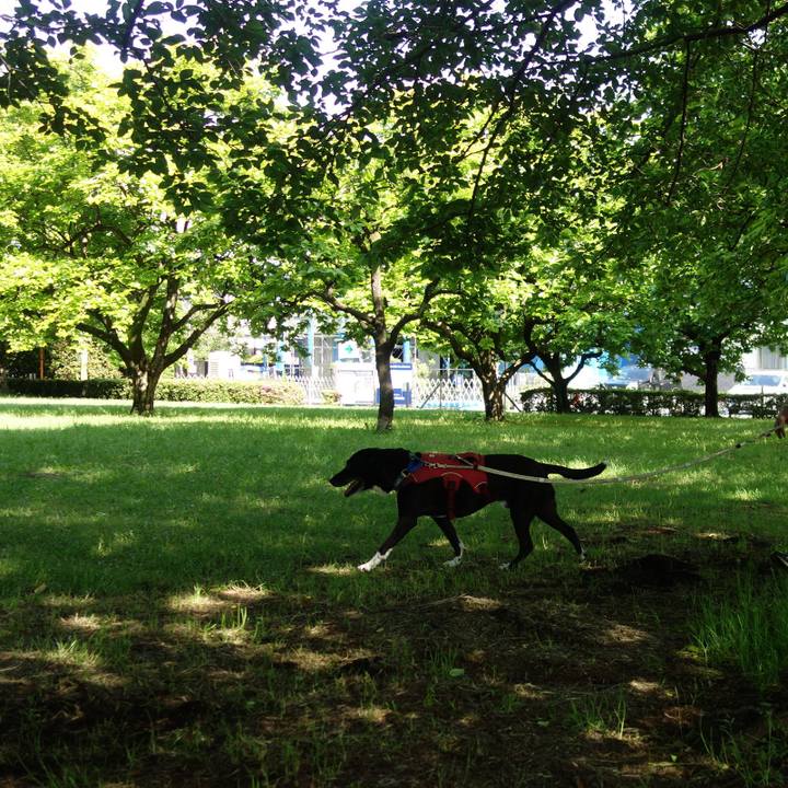 Bba65146 445b 41d3 9811 3a542917b50c 1684629315145