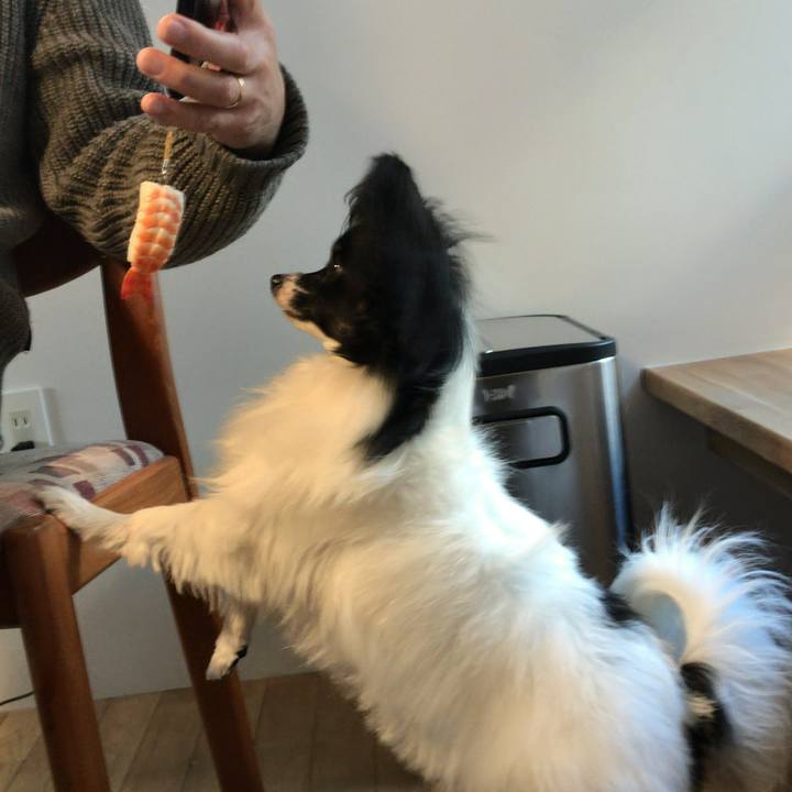 Bba663fa 467e 4c21 8a38 304a1fbc8830 1513982364308