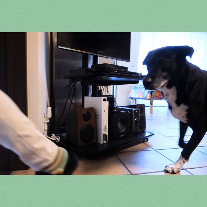 Bba6a6eb a56e 45e2 8415 7ed0ecc2a080 1748738982495