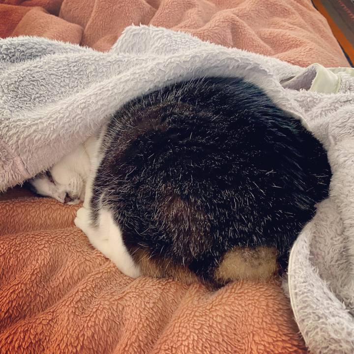 Bba6b6f9 5482 4ca2 a041 583a828a21ff 1583637664659