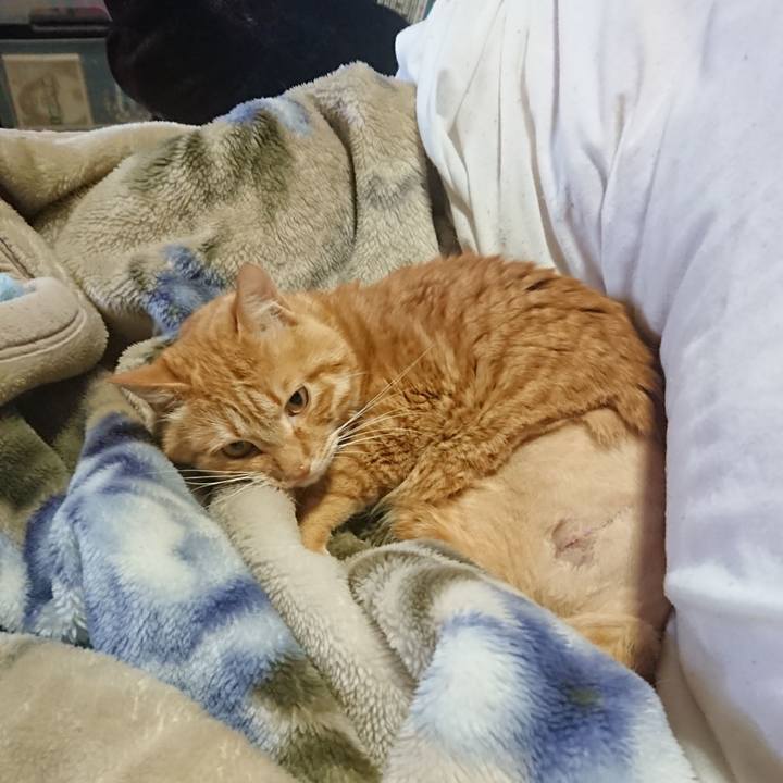 Bba6d20f 69bd 47c8 a75c e3fd80a4d72d 1654292788365