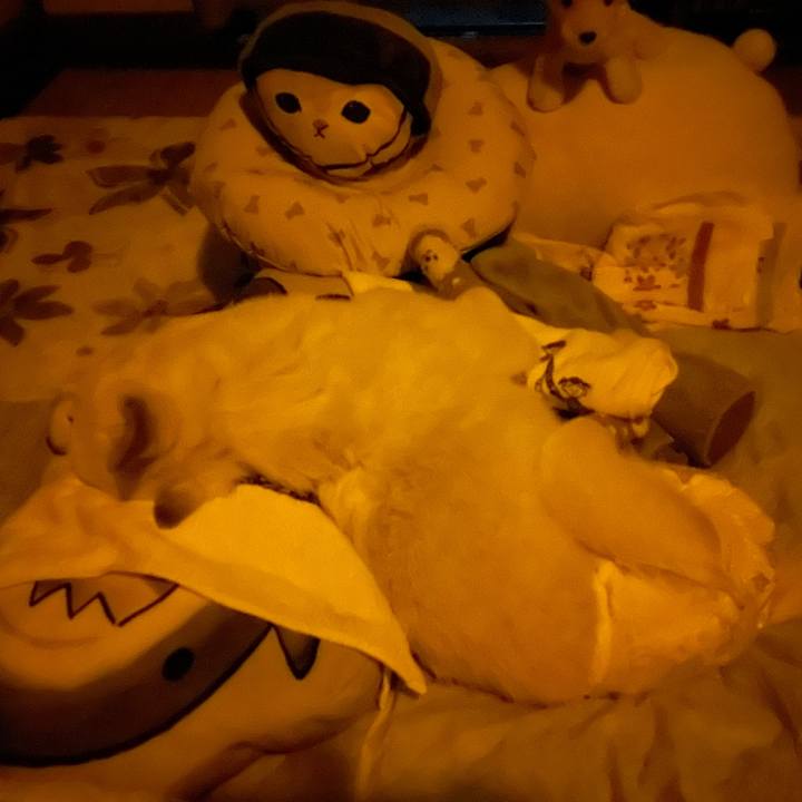 Bba6e41a 5ada 4065 8ae5 ad137b7cea47 1685891299992