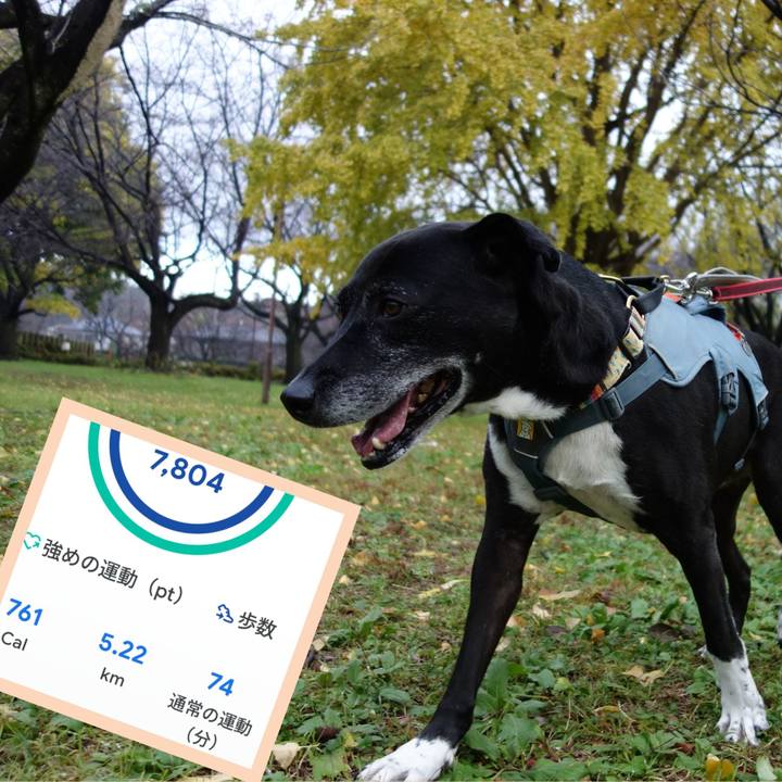 Bba6fbb0 1f37 4ff1 a438 ec3dd90d25cc 1732667578846