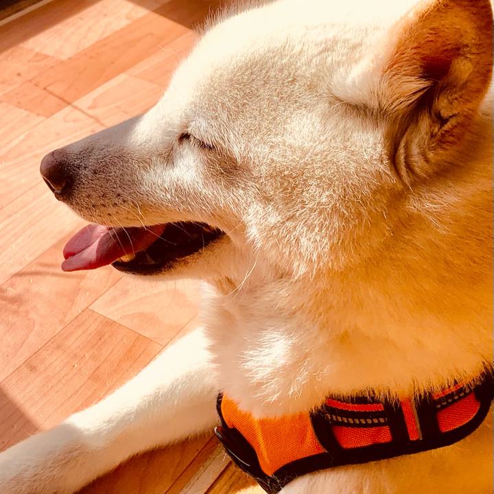 Bba70c4a aee0 4213 a43b d1997596f57f 1615783220825