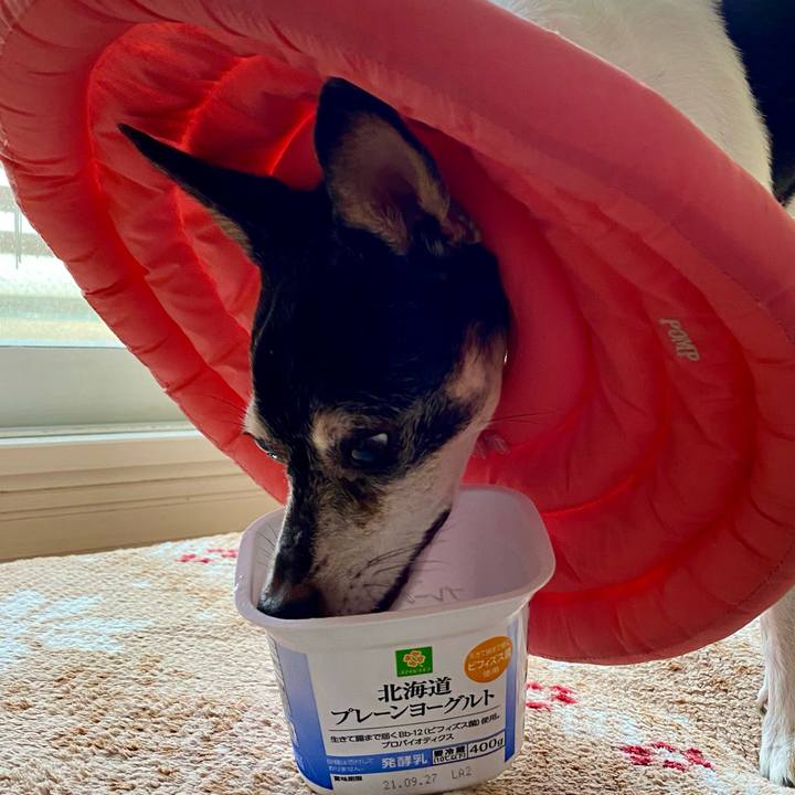 Bba70f11 4965 48f5 bcfe 278c1de8ff9b 1632435199085