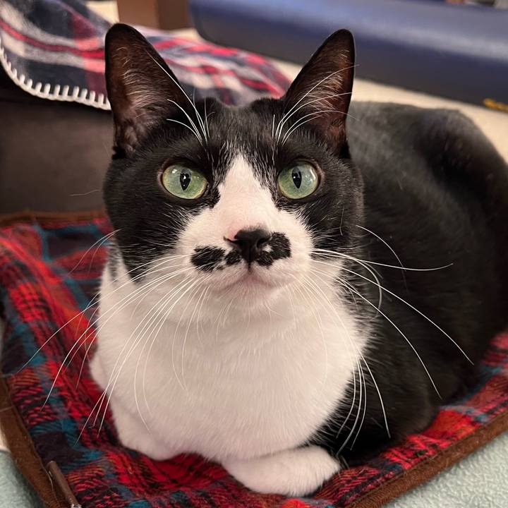 Bba7150f 3a31 49da 9065 ac85b065a597 1764282847867