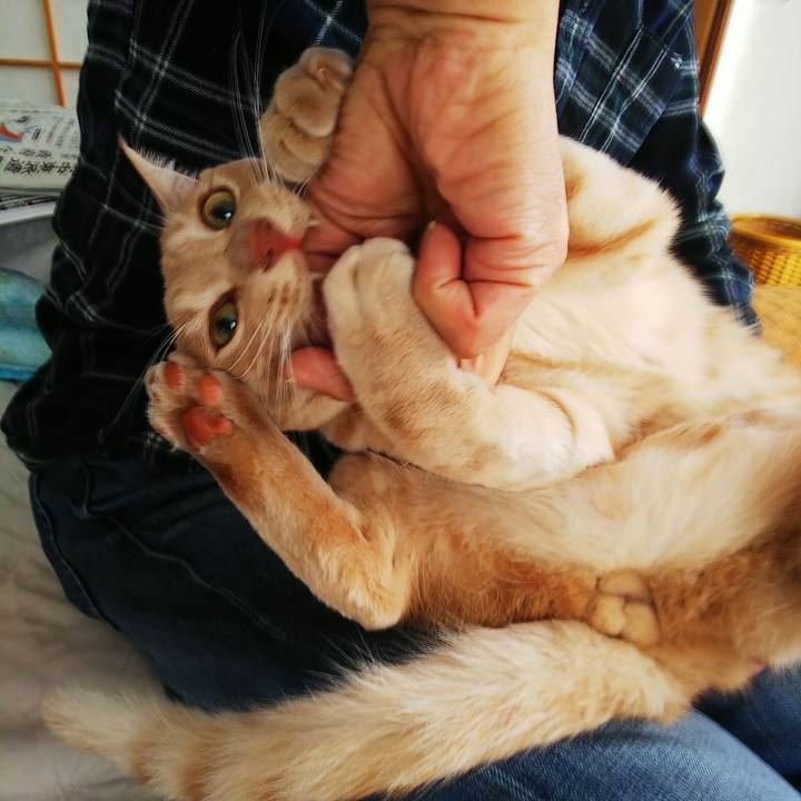 Bba7a9ca 0b37 42d3 93d8 7b1e9021402a 1575171410305