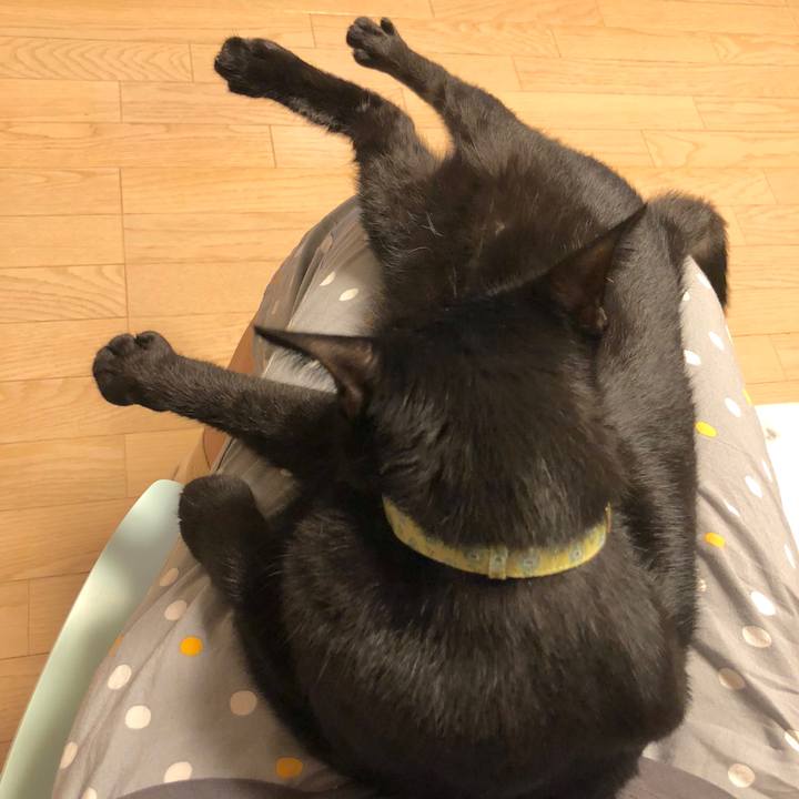 Bba7e38d 7d45 4275 a65e 54e1537f56cc 1537876838222