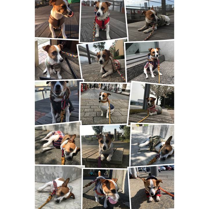 Bba7fbcc 3357 4d92 87e6 6a757cb30e38 1656205642134