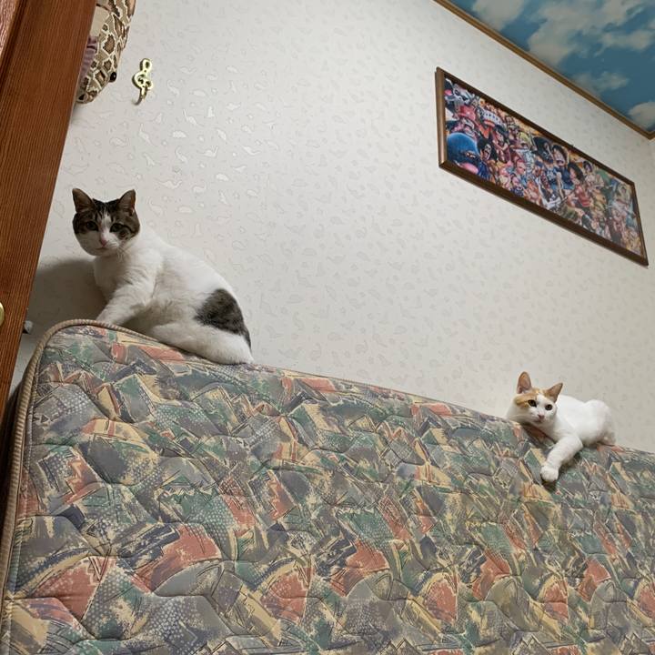 Bba81d77 7d05 4817 91ac f828a3aad738 1647351308187