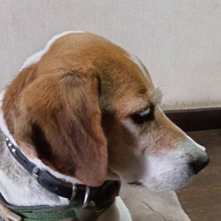 Bba82936 26f4 4a64 a360 9e02a39dc144 1738071835596