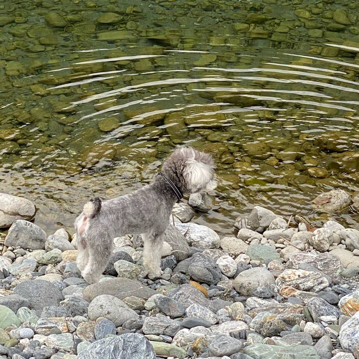 Bba87beb 3c1d 41a0 8d7a f8a0ead91735 1600751686218