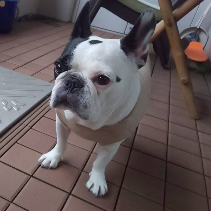 Bba8980f e42d 467e 897b 391231b9a4c6 1591868613980