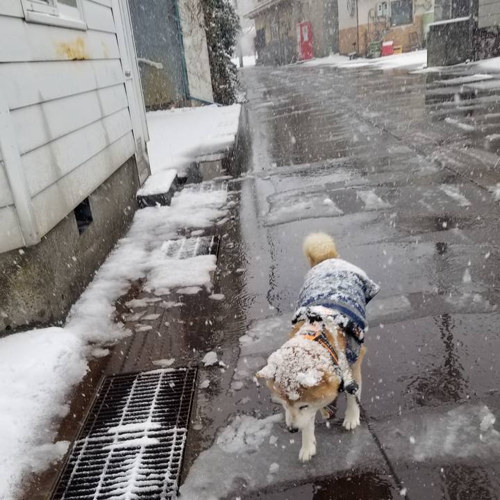 Bba8bd72 85ec 40fc ba20 256527357f66 1707106999007