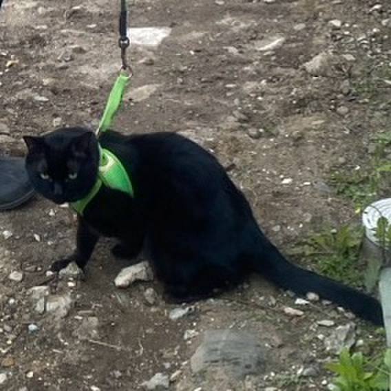 Bba8c6b4 3cb2 4cf7 844c 1f33959561db 1744960049243