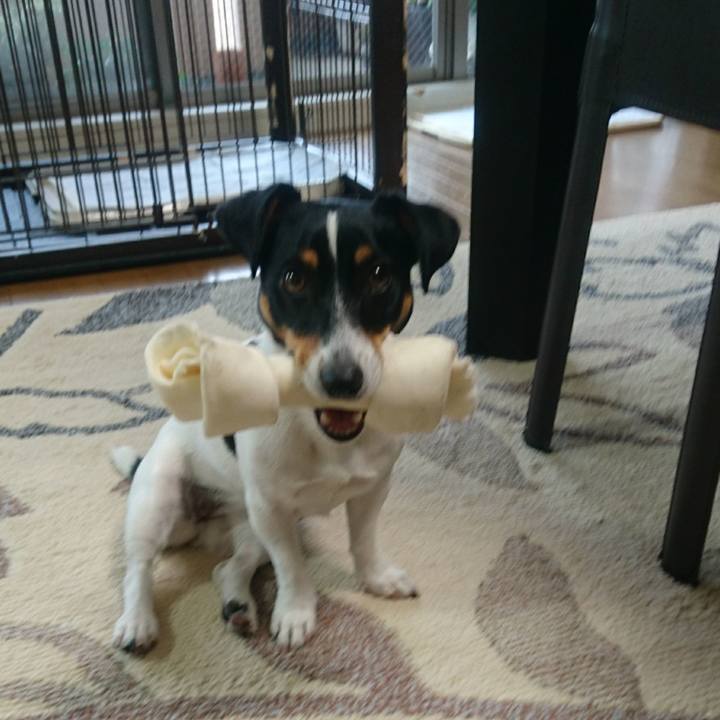 Bba8d019 3fdc 4188 a729 9b7b5e7ec16d 1554883143890