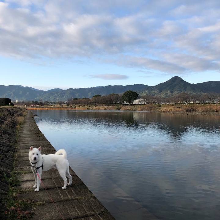 Bba8dd0a 3ca0 45eb 86e3 b386339f045a 1549758913130