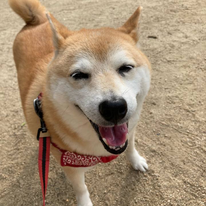 Bba948b8 dcbf 495e 8fef bd69faa97473 1626180051478