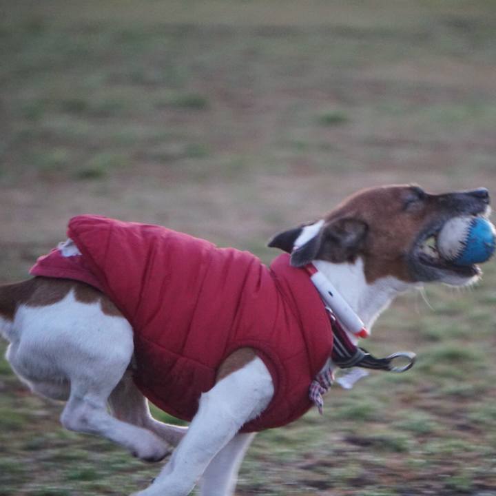 Bba971bb bd47 4490 87a5 4928f0b63d08 1580771891936