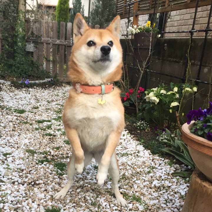 Bba9743f 57a8 43ad afb3 90b1a114f823 1551688749350