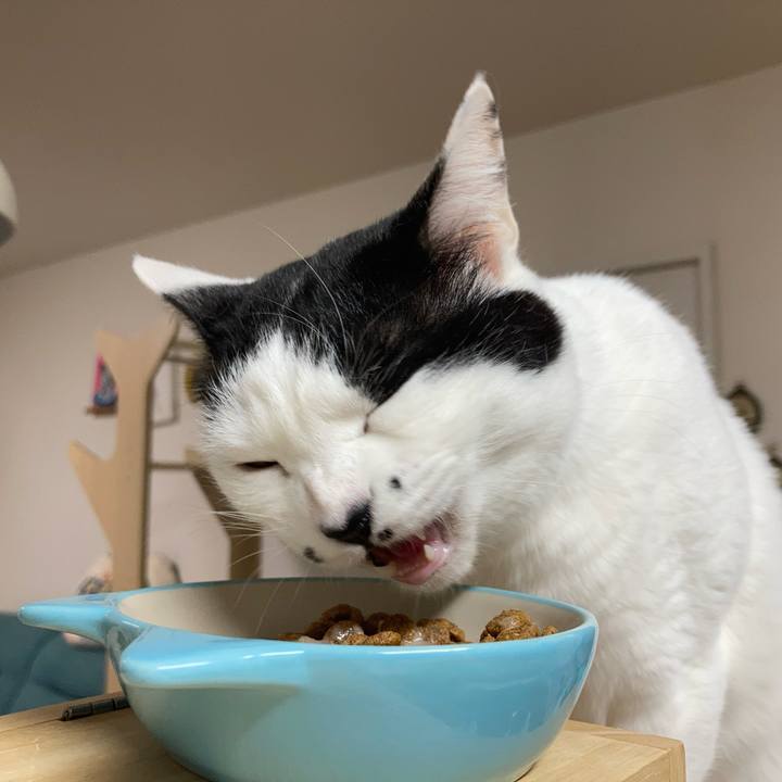 Bba98750 090e 49ee bed7 29effe6ece09 1771534198326