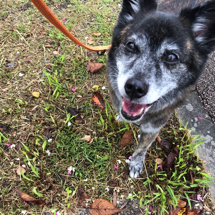 Bba9bba3 9afa 4a3b 9616 a31ffa46b853 1693525758570