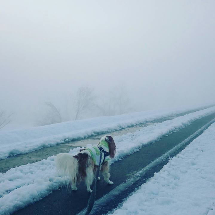 Bba9c63c db96 4205 af88 9b4608d3c1bf 1544915013777