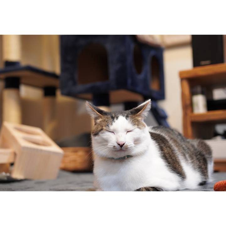 Bba9ef0d 4e18 4c99 b014 654ba64d7f21 1580860540607