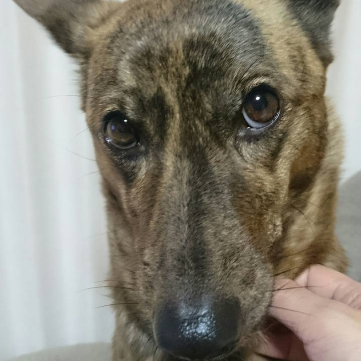 Bbaa0de1 7a1c 4351 b564 7244c3c863e6 1512561518244