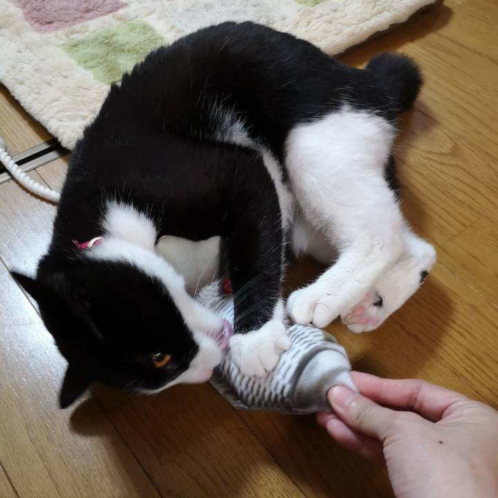 Bbaa3f49 7c17 4081 9d84 a94c082bb447 1556718742254