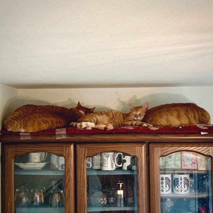 Bbaa8232 fe2b 4b07 9471 df90d18d0fbd 1665326037764