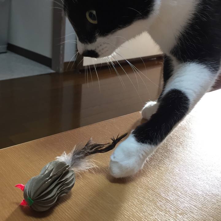 Bbaa8b30 7092 4cb0 97f4 6f940cd4beda 1514799253347