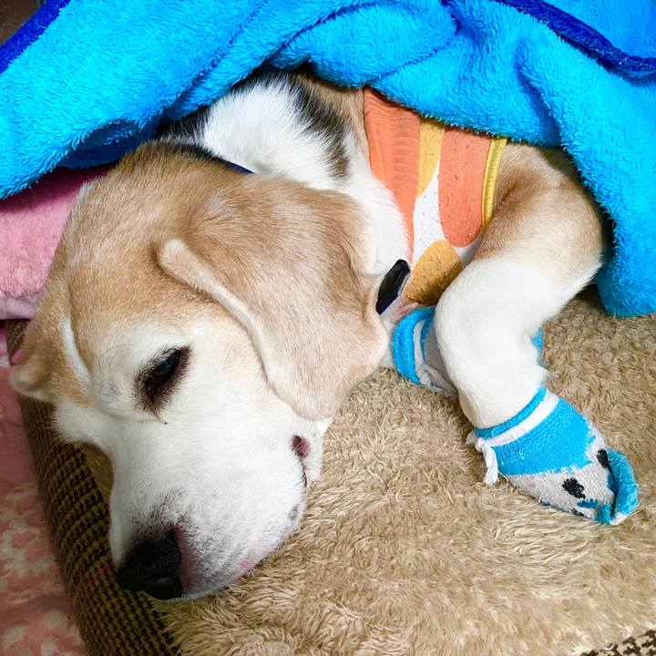 Bbaac3bd 35db 414f acaa 41779f37947d 1582687756701