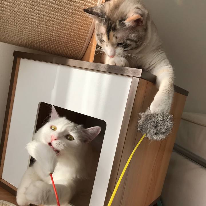 Bbaac8ca d0f0 4fa3 9055 477095fec0ea 1530968758227