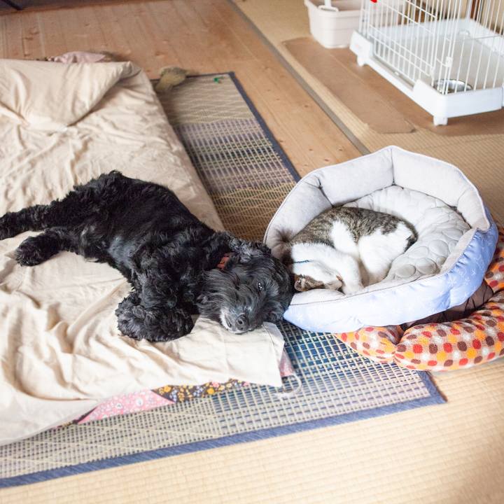 Bbaadae4 096e 419f a2fb fe5775273aad 1560830521161