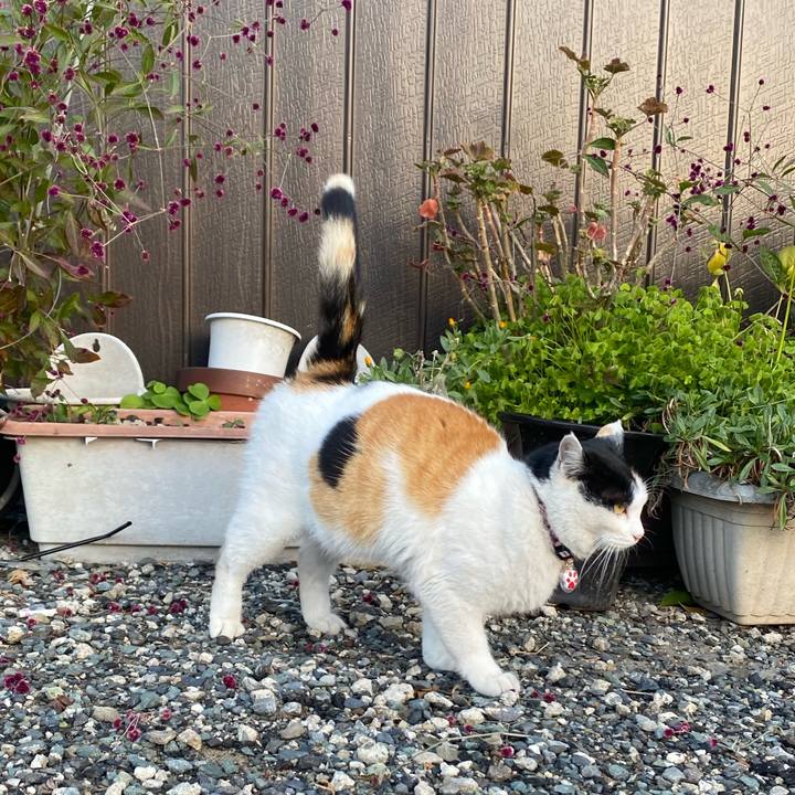 Bbaadaff 9851 4bd2 b88d cf6912219e25 1641373520979