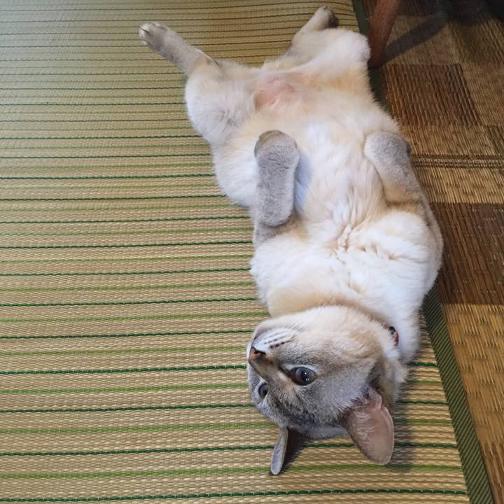 Bbab00c5 4506 4379 8829 297ad0ac2a7a 1532123069400