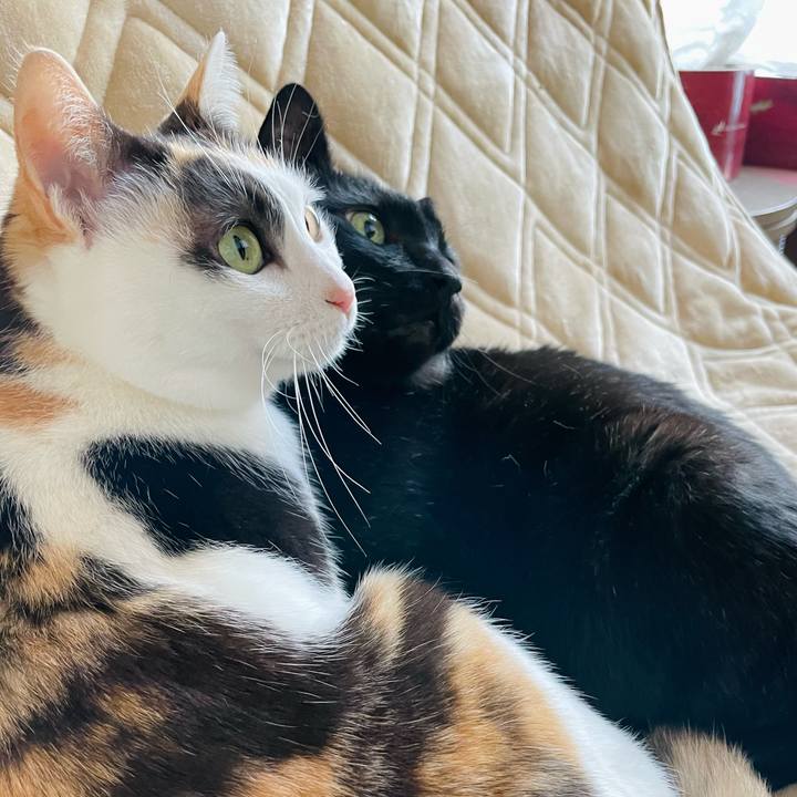 Bbab46b2 7a08 46a2 95e2 541f495f93c2 1651632093613