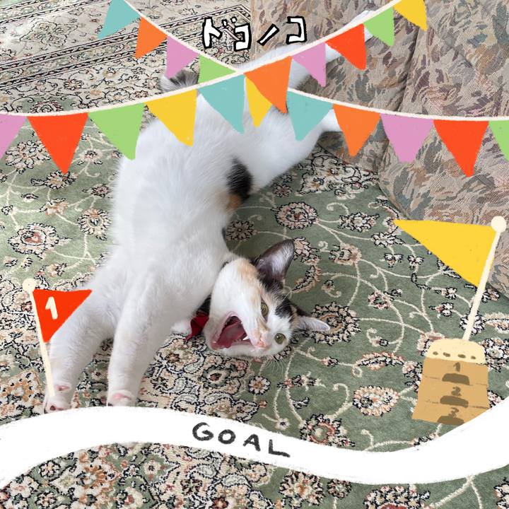 Bbab8069 2183 4249 9534 30abaa186a24 1729057725923