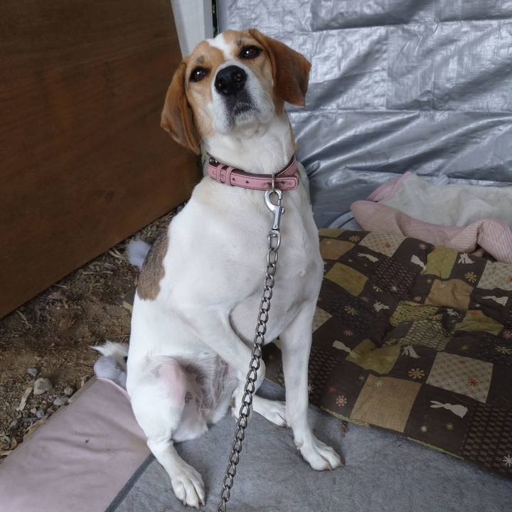 Bbab8153 e25a 4311 8bf3 1c496c7e5df0 1601429344445