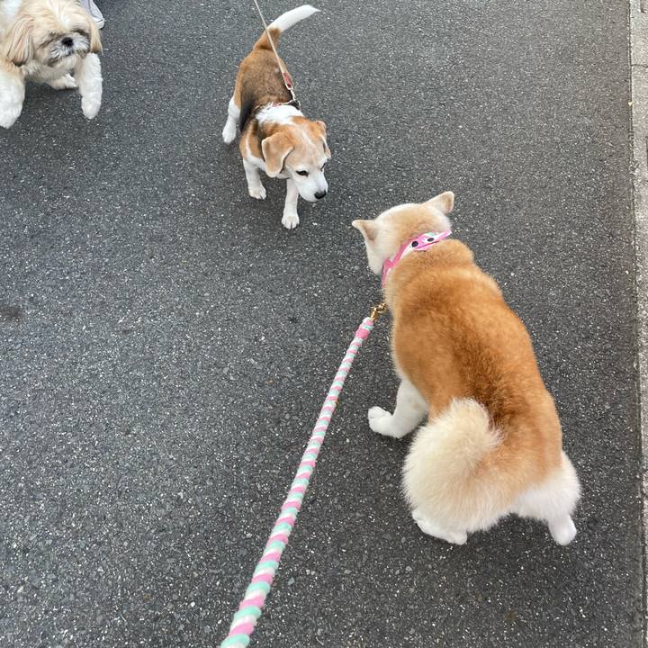 Bbab84b5 36ec 4ce4 8690 51ae5a64b169 1664840651796