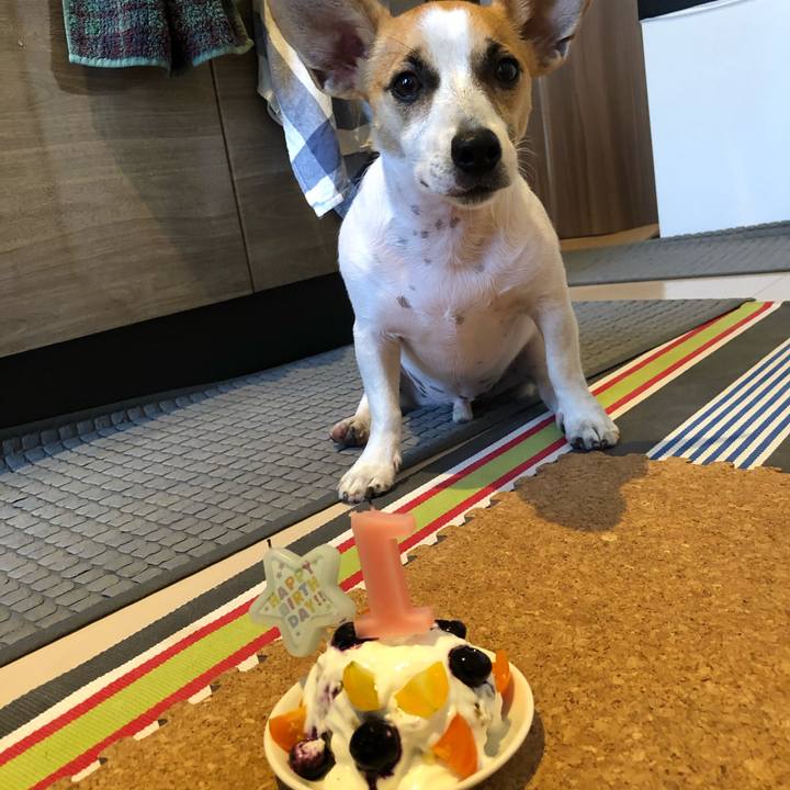 Bbabb427 c12b 411b ae11 8b096cf23bbc 1570055484266